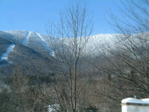 Sugartree Inn 워렌 외부 사진